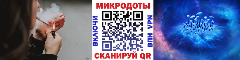 купить наркотики цена  кракен зеркало  Псилоцибиновые грибы Cubensis  Тимашёвск 